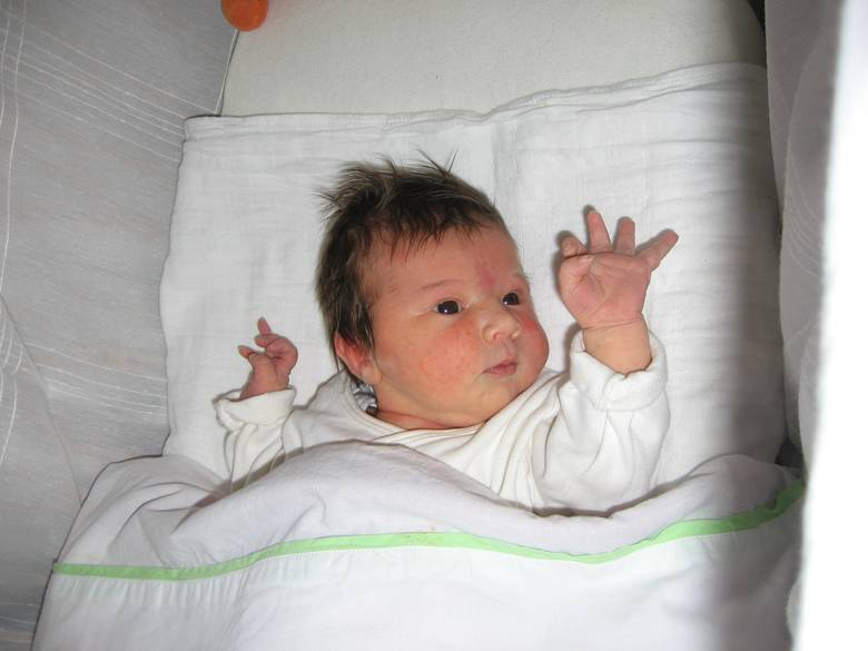 Foto van Daphne